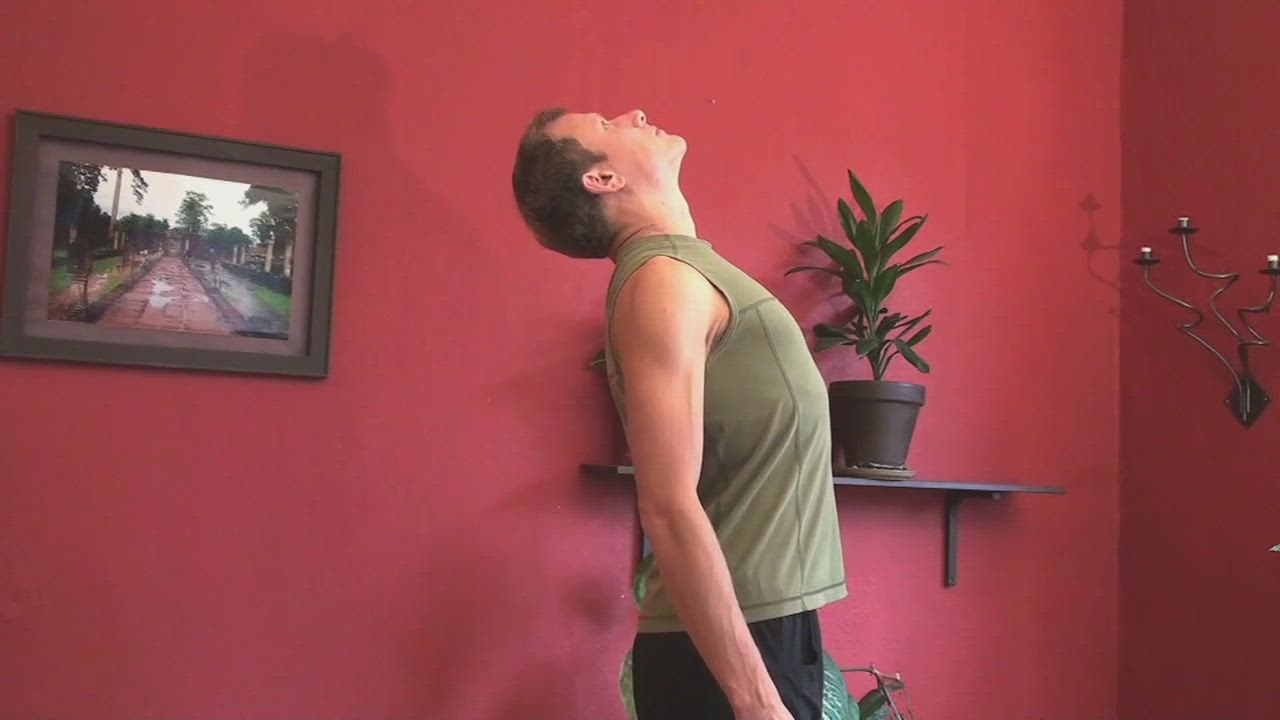 Office Yoga for the Spine and Shoulders