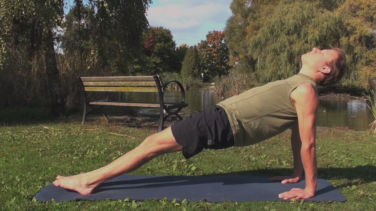 Reverse Plank Pose