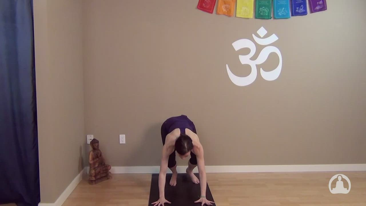 5 Poses to Handstand