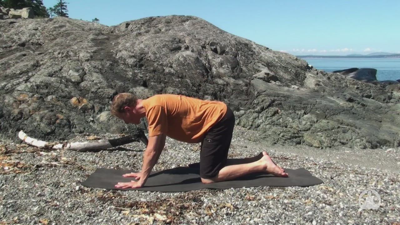 Yoga for the Upper Back