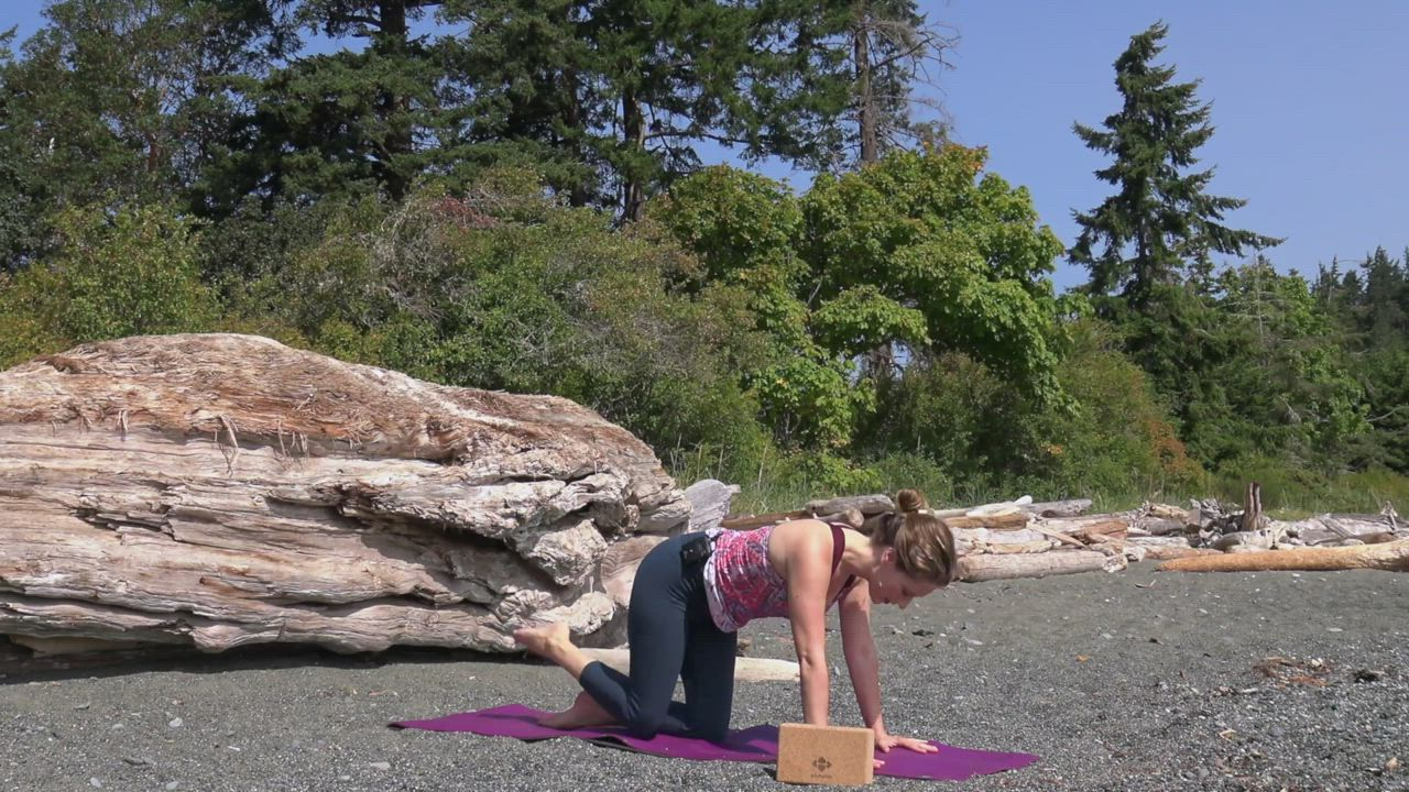 Vinyasa Yoga: Focus On Twists