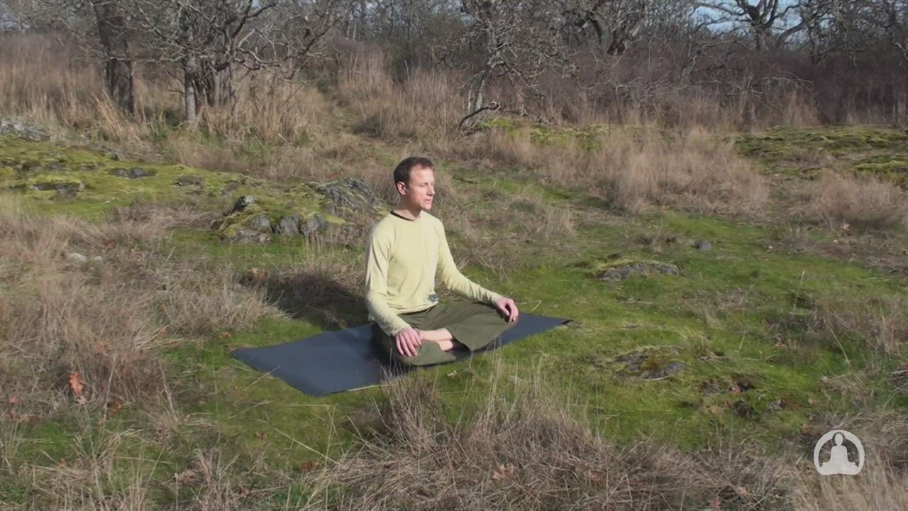 Yoga for Digestion: Quickie