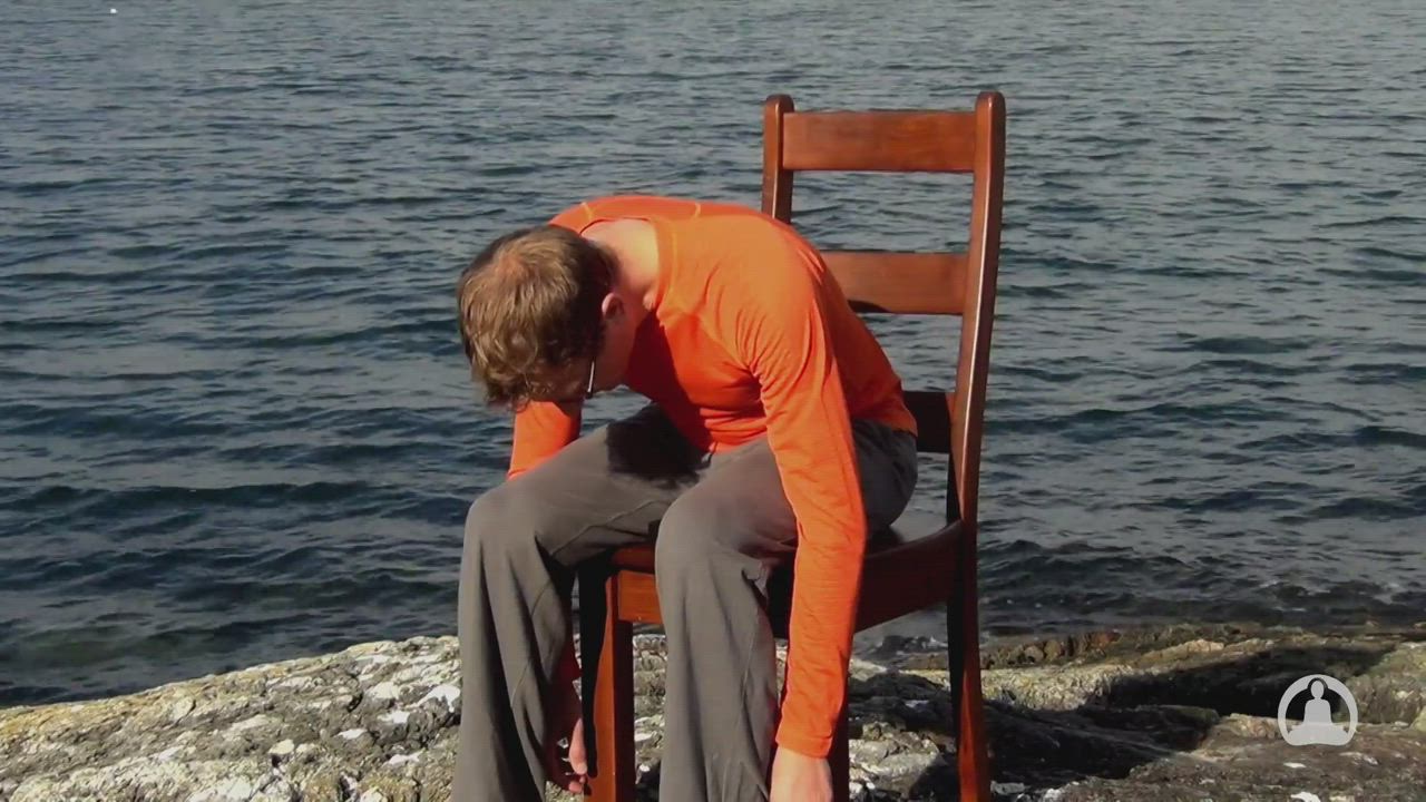 Chair Yoga for the Lower Body