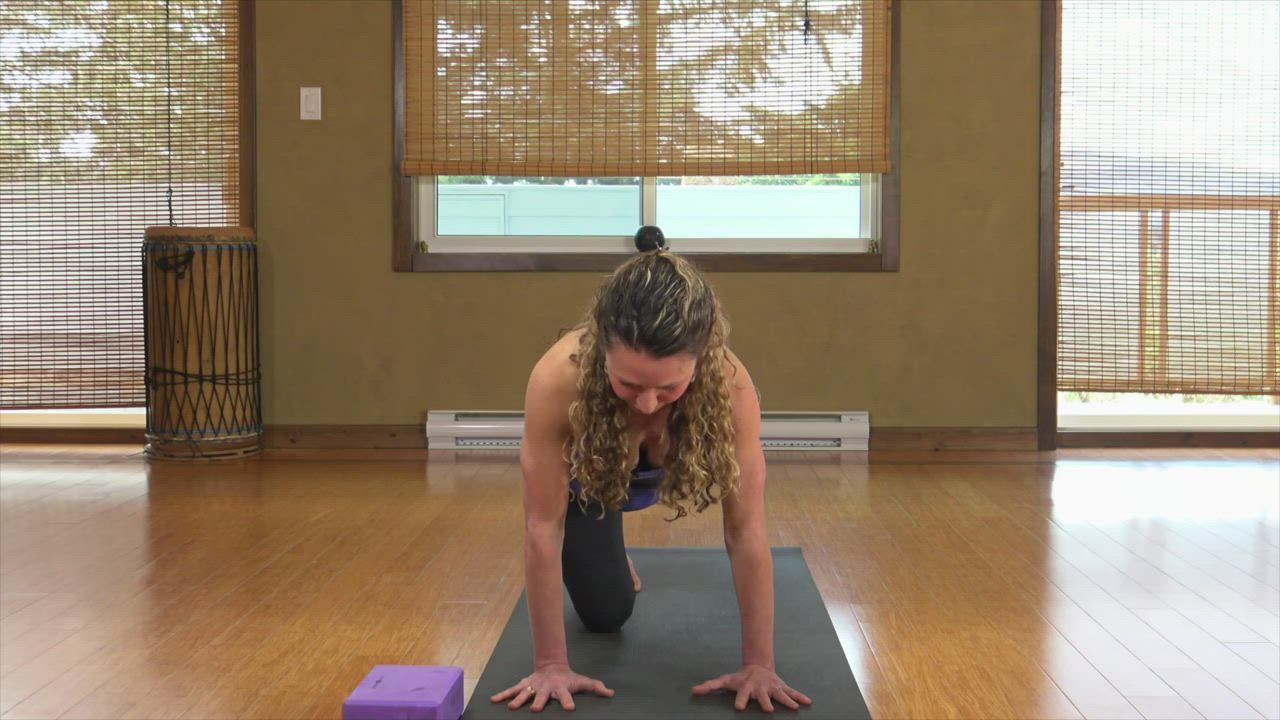 Vinyasa Yoga for Lower Back Care: Alignment