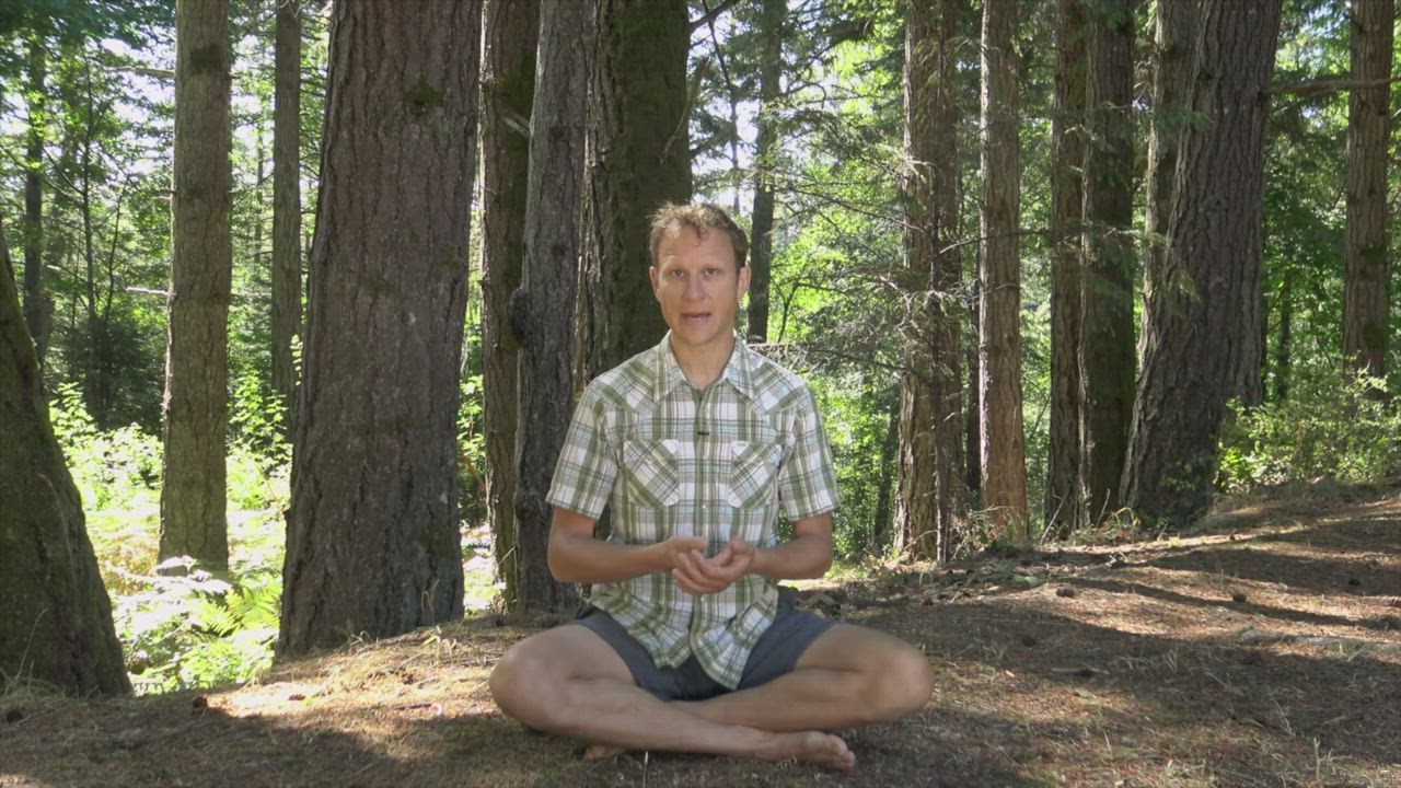 Mindfulness Meditation: A Guided Meditation on Impermanence