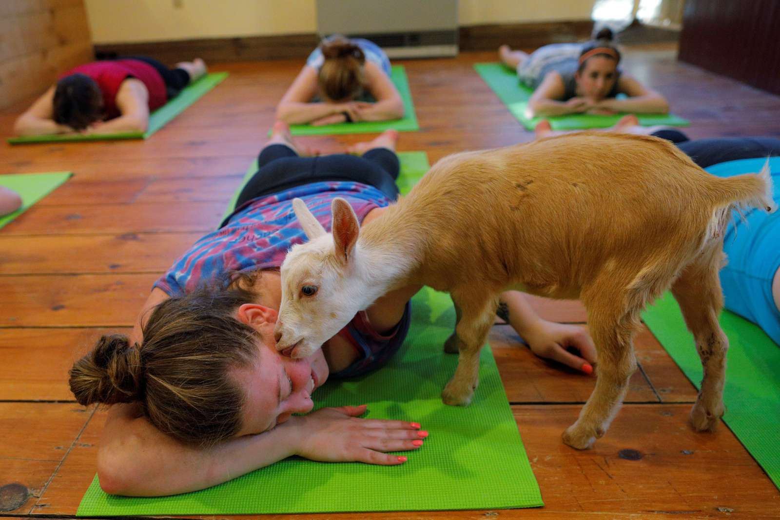 yoga