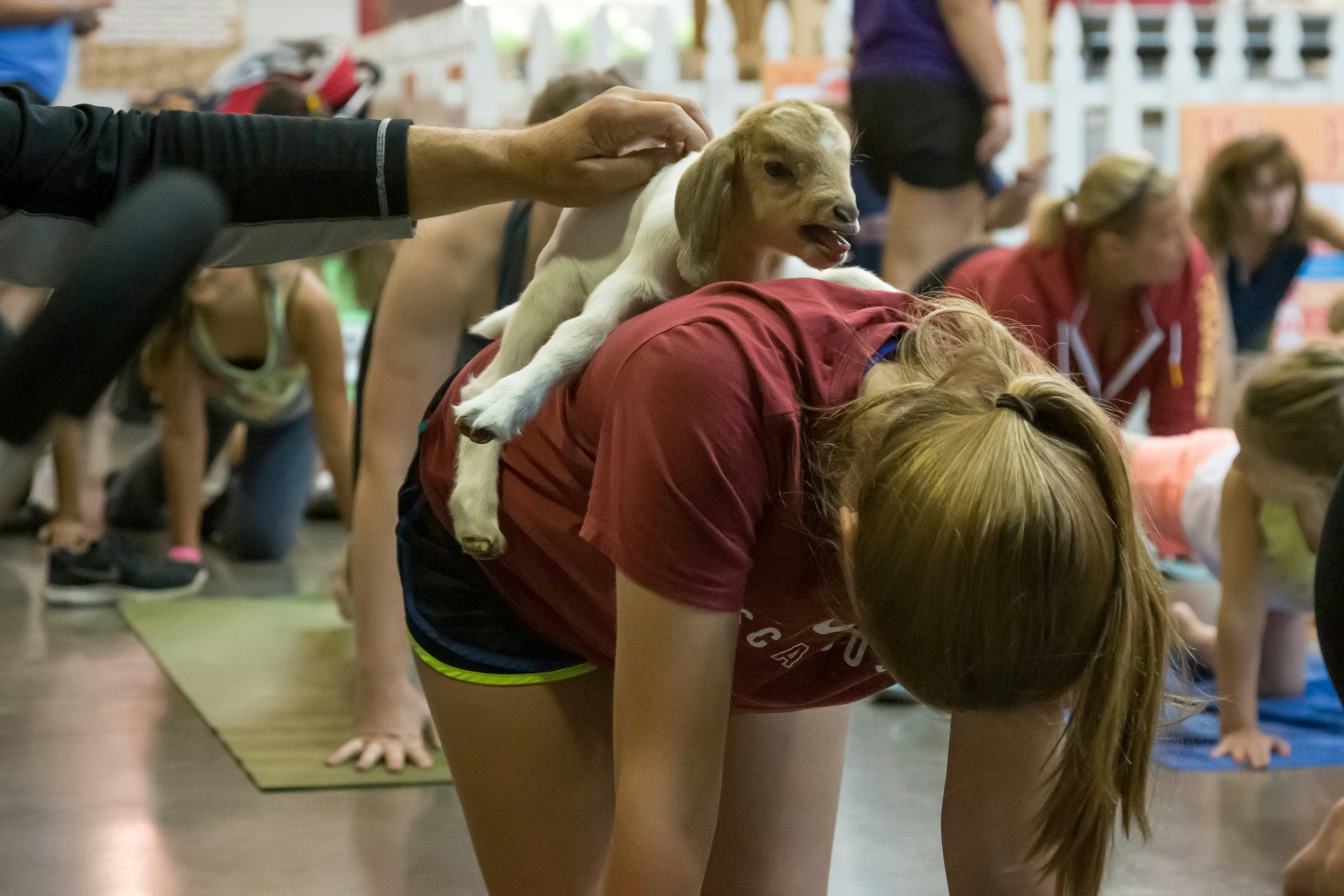 yoga