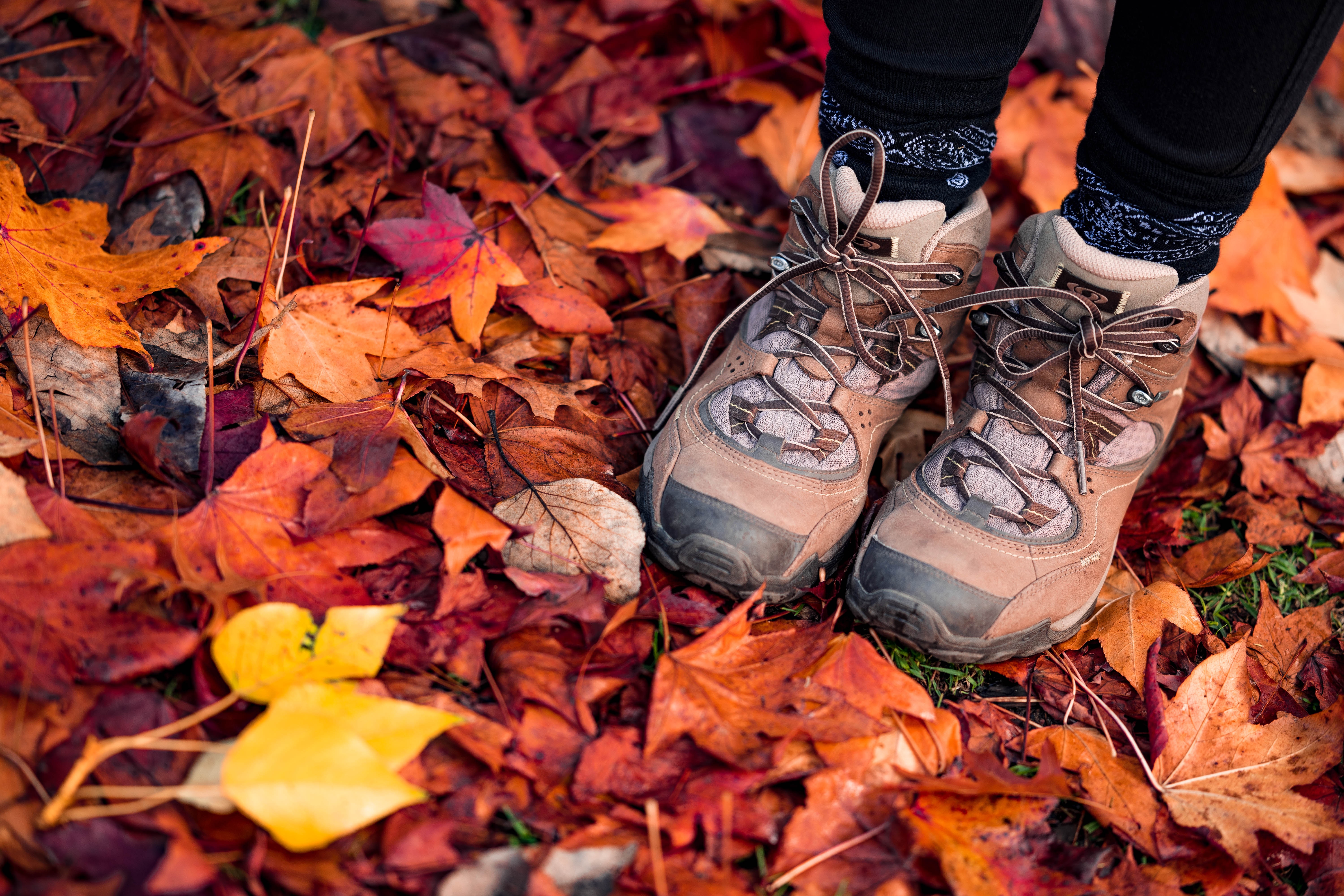 Hiking Boots Outdoors Fall Leaves
