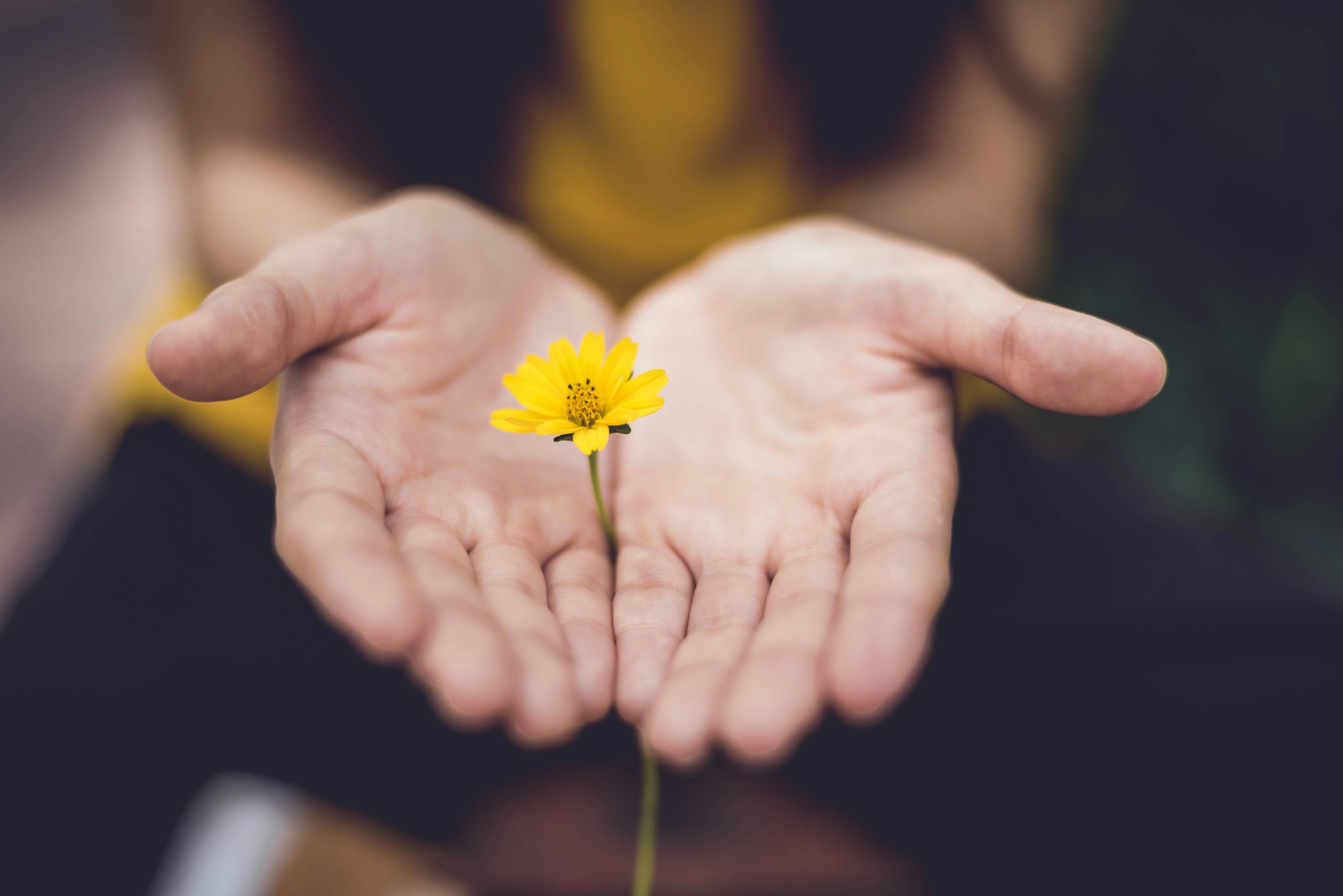 A lily in the palm of a woman