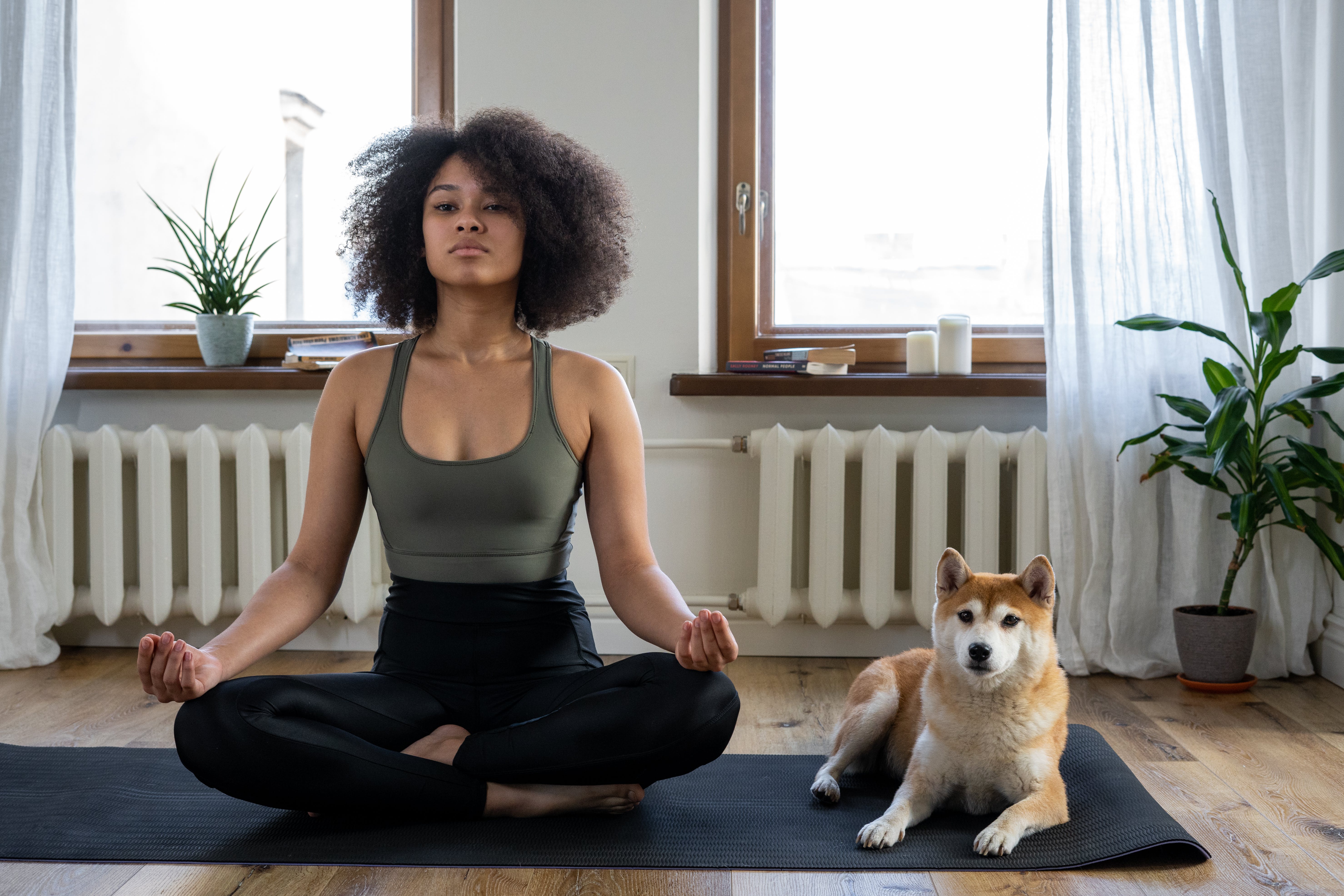 dogs and yoga