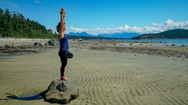 Transform Your Life 30-Day Yoga Challenge - Beginner