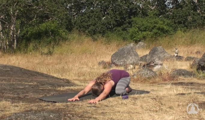 Hatha Yoga for Arm Strength