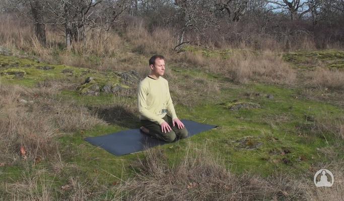 Yoga for Digestion: Full Class