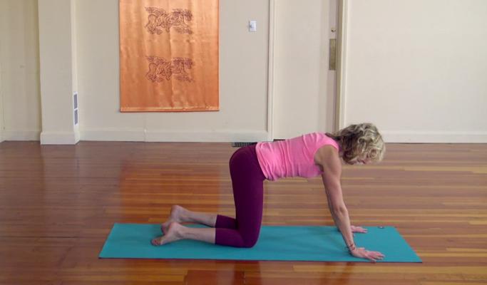 Should Yoga Teachers Teach Chaturanga In Vinyasa Classes?