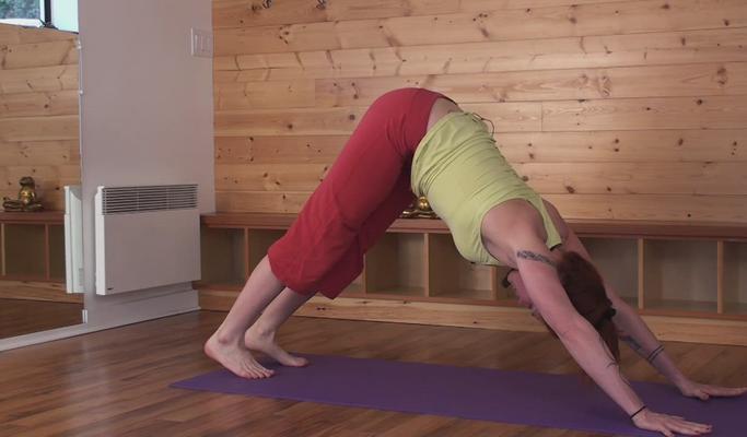 Poster image for Level 2 Yoga/Pilates Fusion