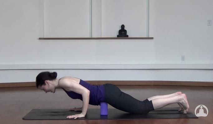 Chaturanga Dandasana 