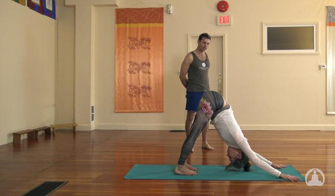 Ashtanga Yoga Half Primary Series