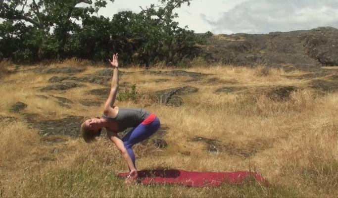 Hatha Yoga for the Spine