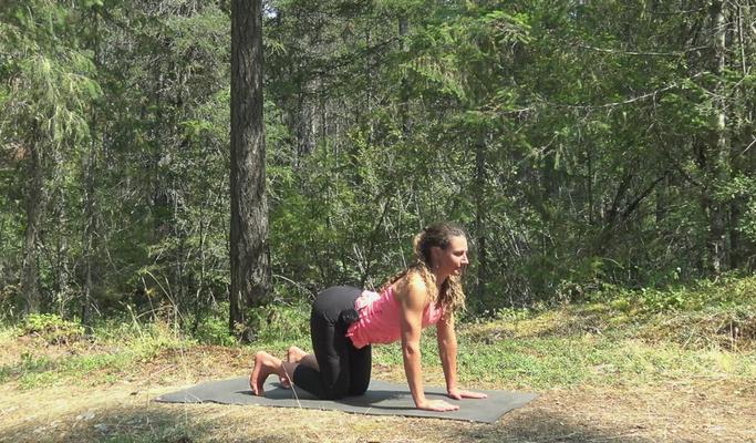 Yoga Lunch Break 