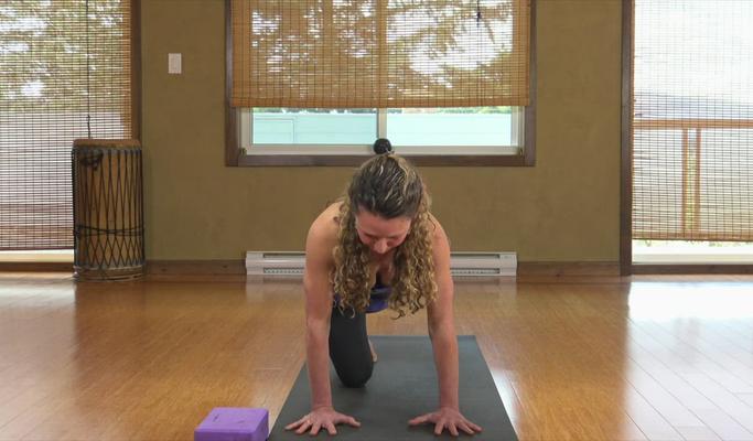 Vinyasa Yoga for Lower Back Care: Alignment