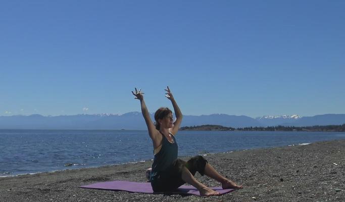 Poster image for Prenatal Yoga for Core Strength