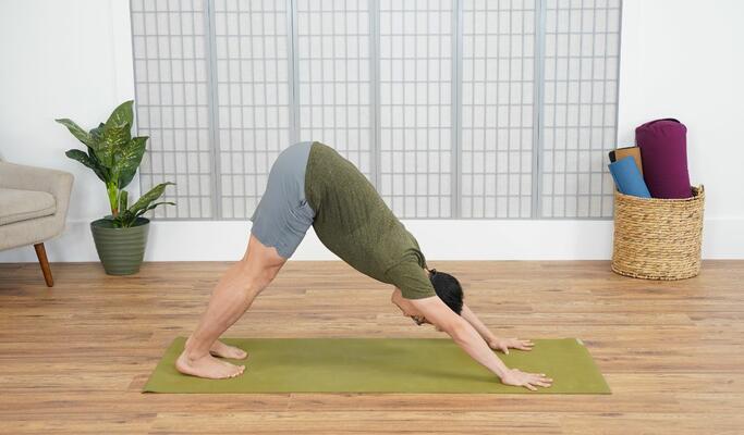 The Basics: A Vinyasa